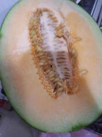 今天吃冻哈密瓜,冰凉解暑的冻哈密瓜大赏