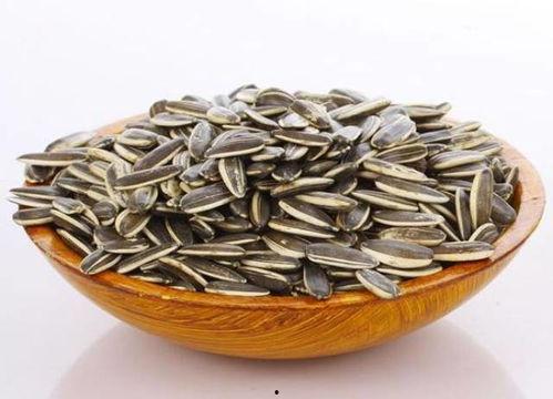 小瓜吃瓜子,小瓜吃瓜子的快乐时光