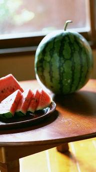 吃瓜仙人小西瓜图片,揭秘吃瓜仙人小西瓜的神秘魅力
