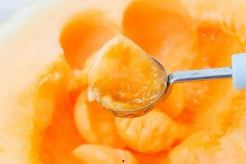 米粒吃蜜瓜,甜蜜滋味尽享其中