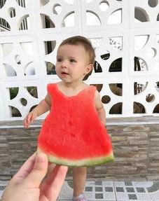 明星西瓜地吃瓜,甜蜜瞬间捕捉镜头