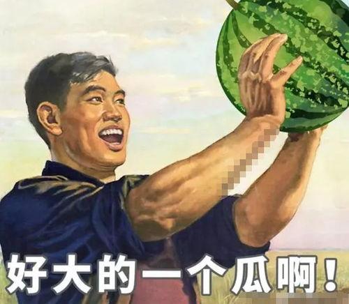 情义吃瓜,吃瓜群众见证人间真情