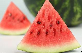 吃西瓜能吃瓜粒,美味与营养的双重享受 第2张 吃西瓜能吃瓜粒,美味与营养的双重享受 第2张