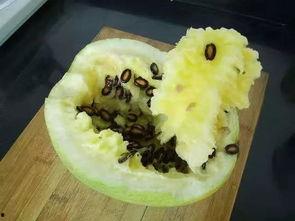 吃籽瓜导致咳嗽,揭秘瓜籽与呼吸道不适的秘密 第3张 吃籽瓜导致咳嗽,揭秘瓜籽与呼吸道不适的秘密 第3张