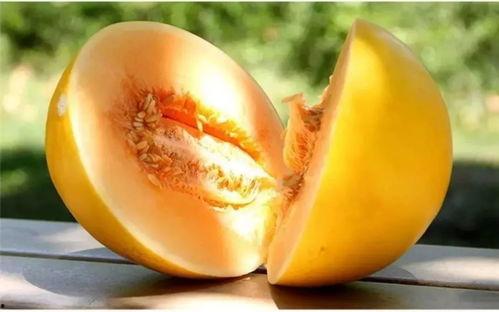 吃蜜瓜敏感,过敏体质需谨慎享受