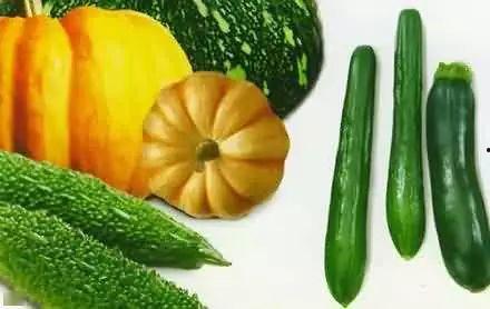 吃瓜解渴吗 第1张 吃瓜解渴吗 第1张