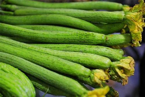 没钱吃的瓜,揭秘贫困家庭的生存困境 第3张 没钱吃的瓜,揭秘贫困家庭的生存困境 第3张