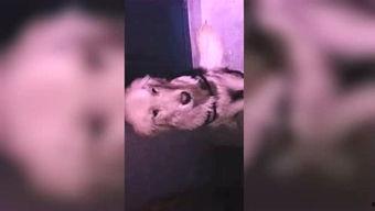 dy木木吃瓜视频,揭秘娱乐圈幕后故事  第2张