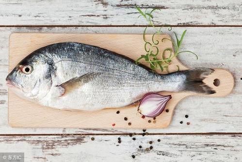 道具吃瓜鱼,揭秘神秘道具的神奇力量 第2张 道具吃瓜鱼,揭秘神秘道具的神奇力量 第2张