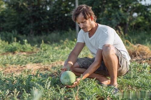 老外吃瓜照片,一场视觉盛宴 第2张 老外吃瓜照片,一场视觉盛宴 第2张
