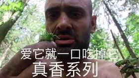 挨饿德吃瓜,揭秘饥饿与满足的奇妙旅程 第3张 挨饿德吃瓜,揭秘饥饿与满足的奇妙旅程 第3张