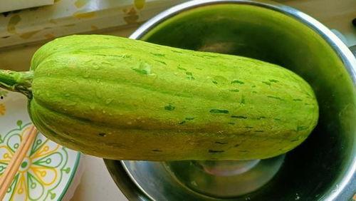 吃中药可以吃瓜,健康生活新主张  第1张