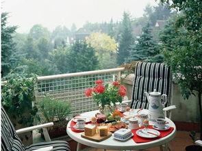 今天晚上阳台吃瓜,阳台瓜香四溢，共享夏日悠闲时光  第3张