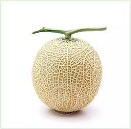 吃瓜群众头像系列  第1张