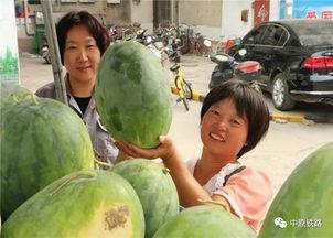 喜人吃瓜,揭秘娱乐圈那些不为人知的幕后故事