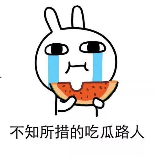 虐文吃瓜稳定发疯,稳定发疯的狂欢之旅  第1张