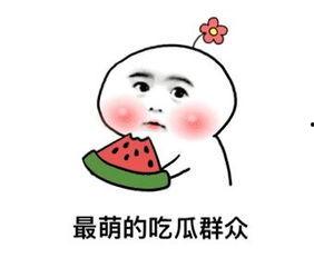 虐文吃瓜稳定发疯,稳定发疯的狂欢之旅  第3张