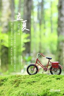 吃瓜追剧不迷路,不迷路,轻松掌握热门剧集动态 第3张 吃瓜追剧不迷路,不迷路,轻松掌握热门剧集动态 第3张