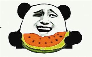 吃瓜群众什么动物,趣味横生的动物众生相 第3张 吃瓜群众什么动物,趣味横生的动物众生相 第3张