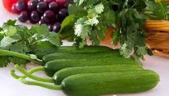 每天吃别人的瓜,我的瓜果日常  第2张