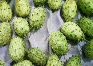 孕妇可以吃刺角瓜怎么吃,刺角瓜的多样食用方法  第3张