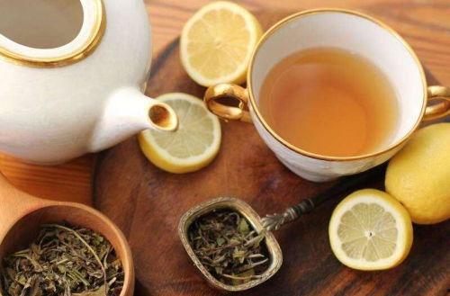 乐乐请你喝茶吃瓜,共享茶香瓜甜，畅谈美好时光  第3张