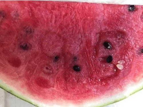 七阿姨吃瓜,揭秘娱乐圈背后的秘密  第3张