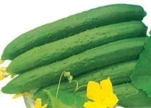 夏季炎热吃瓜,清凉一“瓜”解暑趣 第3张 夏季炎热吃瓜,清凉一“瓜”解暑趣 第3张