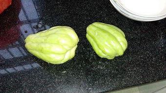 葫芦瓜怎么吃兔儿瓜,创意烹饪新尝试  第1张