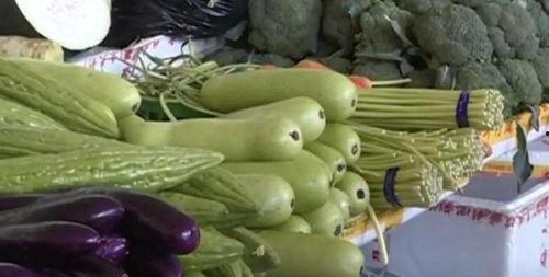 葫芦瓜怎么吃兔儿瓜,创意烹饪新尝试  第2张