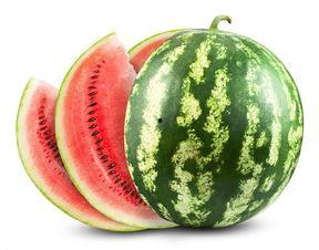 下斑了还有瓜吃,即便下斑,瓜果依旧香甜 第2张 下斑了还有瓜吃,即便下斑,瓜果依旧香甜 第2张