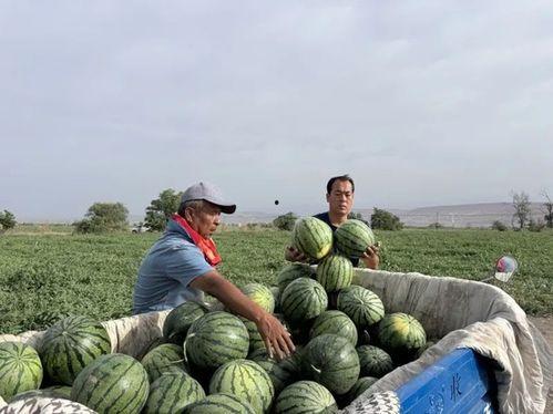 林州最新吃瓜,揭秘当地热门事件背后的真相 第2张 林州最新吃瓜,揭秘当地热门事件背后的真相 第2张