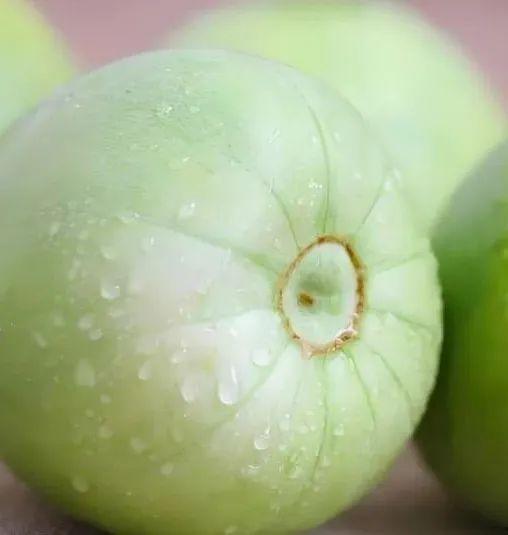 线瓜咋吃  第2张