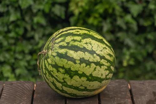 吃瓜安心,揭秘娱乐圈幕后真相,带你走进明星真实生活 第3张 吃瓜安心,揭秘娱乐圈幕后真相,带你走进明星真实生活 第3张