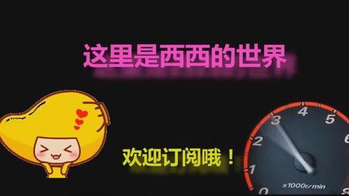 吃瓜跑酷,趣味横生的极限挑战之旅 第1张 吃瓜跑酷,趣味横生的极限挑战之旅 第1张