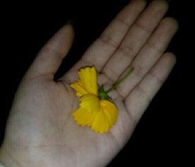 母亲吃瓜视频大全,趣味横生的家庭生活瞬间  第1张