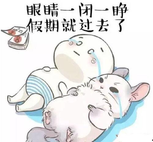 躺在家里吃瓜,尽享瓜果时光  第2张