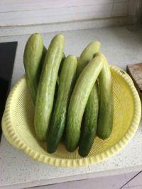 吃瓜研希,揭秘娱乐圈背后的那些事儿 第2张 吃瓜研希,揭秘娱乐圈背后的那些事儿 第2张