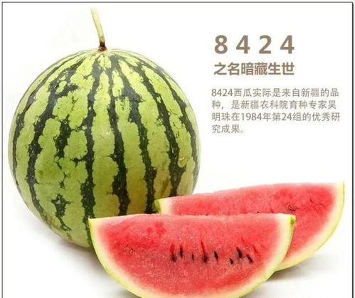 吃瓜研希,揭秘娱乐圈背后的那些事儿 第3张 吃瓜研希,揭秘娱乐圈背后的那些事儿 第3张