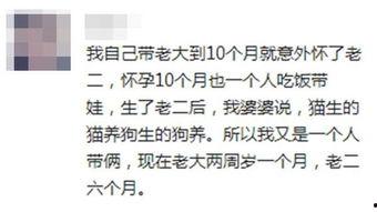 吃瓜大会文案短句,短句盘点，笑料横生  第2张