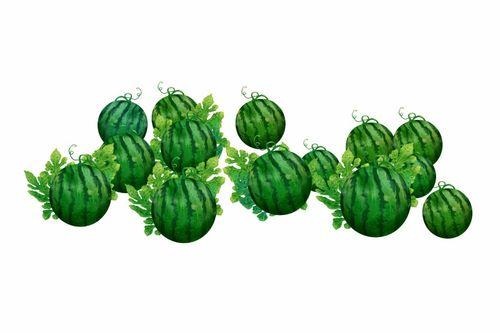 阿也吃瓜,揭秘娱乐圈那些不为人知的幕后故事 第2张 阿也吃瓜,揭秘娱乐圈那些不为人知的幕后故事 第2张