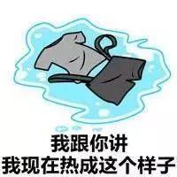 炫酷吃瓜表情 第3张 炫酷吃瓜表情 第3张