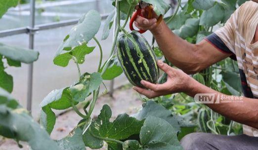 秋天吃瓜了吗  第2张