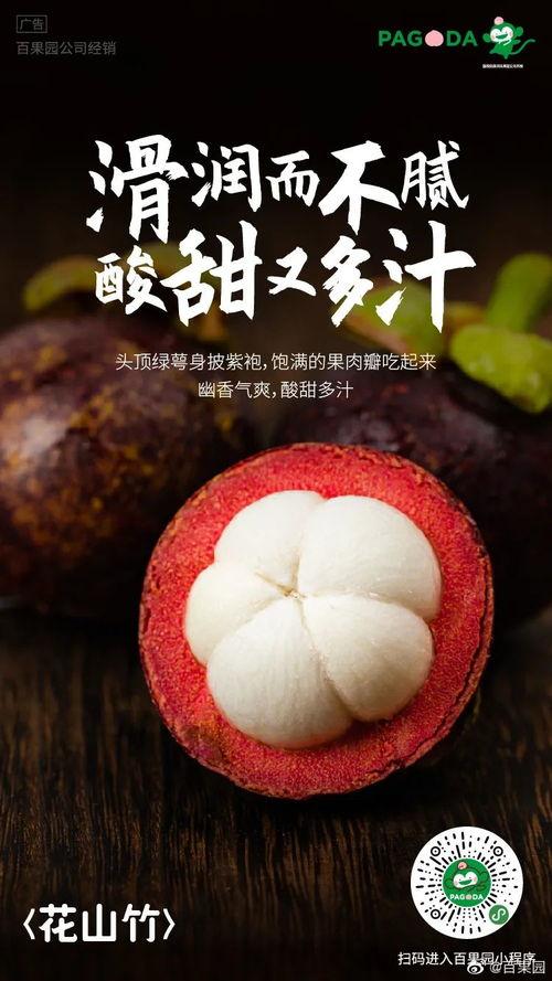 没瓜吃文案,揭秘娱乐圈幕后真相 第3张 没瓜吃文案,揭秘娱乐圈幕后真相 第3张