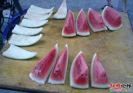 吃瓜评估,吃瓜群众视角下的娱乐圈风云录 第3张 吃瓜评估,吃瓜群众视角下的娱乐圈风云录 第3张