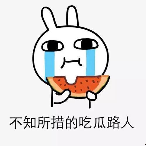 吃瓜吃到自己,一场意外的成长之旅 第3张 吃瓜吃到自己,一场意外的成长之旅 第3张