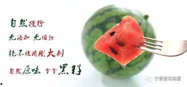 吃瓜比赛开始bgm,吃瓜比赛激情开赛，现场氛围燃爆！  第3张