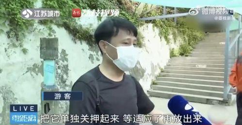 吃瓜网友团队,网络舆论场上的“侦探”与“守护者”  第1张