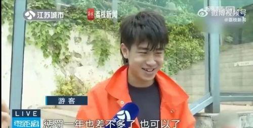 吃瓜网友团队,网络舆论场上的“侦探”与“守护者”  第2张