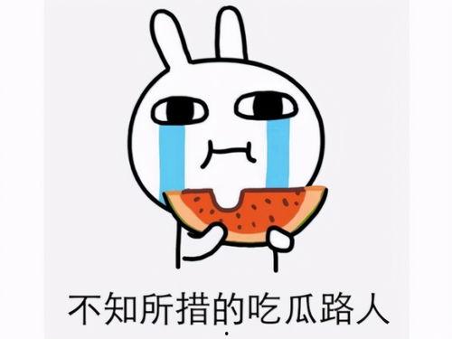 被吃瓜骗了,揭秘网络谣言背后的真相  第3张